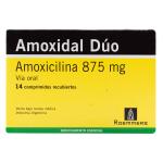 AMOXIDAL DUO 875 MG 14 COMPRIMIDOS