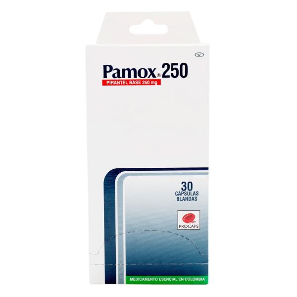 PAMOX 250 MG 30 CAPSULAS(3%+)