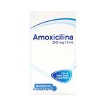 AMOXICILINA 250 MG SUSP 60 ML COA