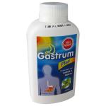 GASTRUM PLUX MENTA 360 ML