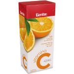 VITAMINA C 500+ZINC NARANJA 100TBS GF