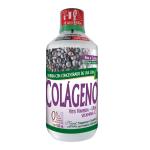BEBIDA CONC FRUTA COLAG PG.360 LL500 ML