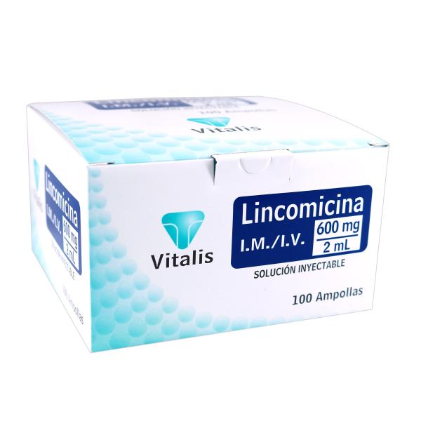 LINCOMICINA 600 MG/2 ML 100 AMP VT