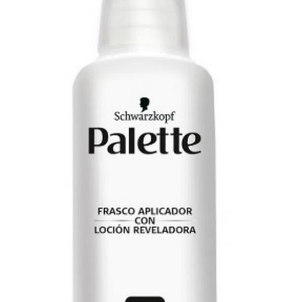 OXIGENTA PALETTE 20VOL X 50ML