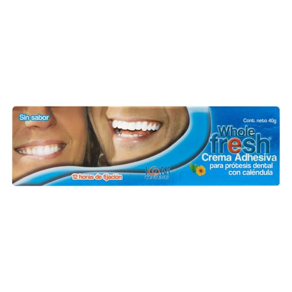 CRE.ADHE.PROTESI WHO. SINSABOR 40GR ICOM