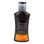 CHA.ANDREA GUSANO DE SEDA KERATINA 100ML