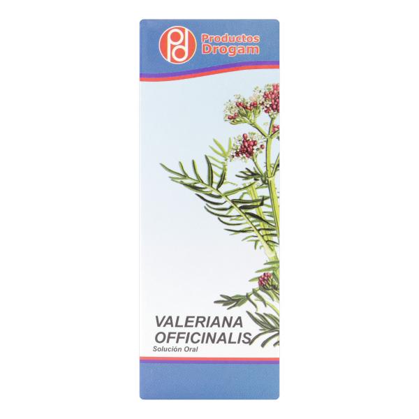 VALERIANA OFFICINALIS 60 ML GOTAS DROGAM