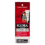 IGORA VITAL TUBO 6-888 RUBI APASIONADO