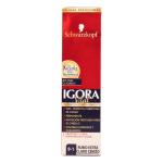 IGORA VITAL TUBO 9-1 RUB.EXT CLARO CENIZ