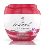TEATRICAL CRE FACIAL ANTIARR 200 GR (SF)