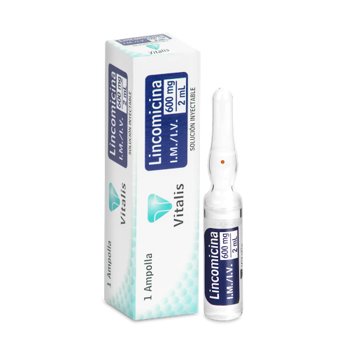 Lincomicina 600 Mg/2 Ml Solución Inyectable Caja X 1 Ampolla